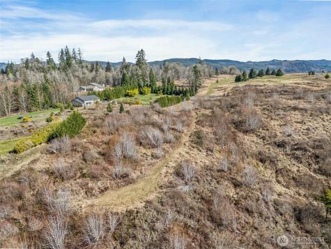 295 Degoede Drive Mossyrock WA 98564