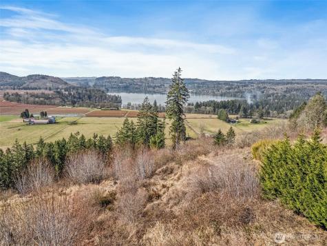 295 Degoede Drive Mossyrock WA 98564