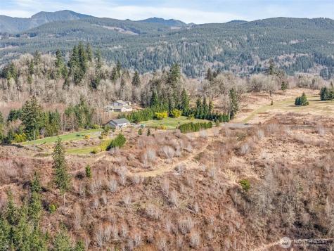 295 Degoede Drive Mossyrock WA 98564