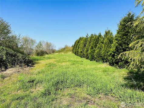 295 Degoede Drive Mossyrock WA 98564