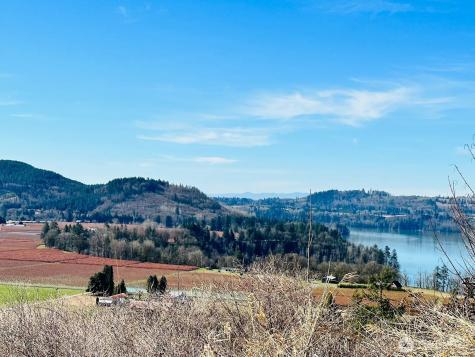 295 Degoede Drive Mossyrock WA 98564