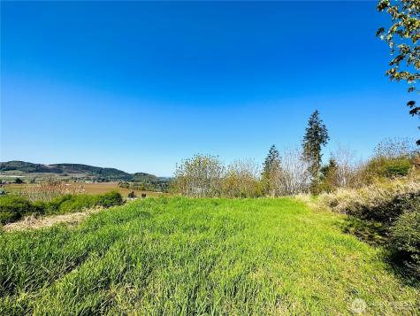 295 Degoede Drive Mossyrock WA 98564