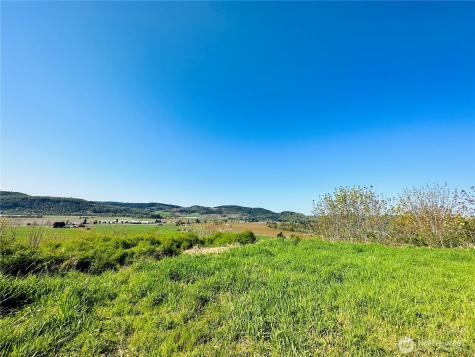 295 Degoede Drive Mossyrock WA 98564
