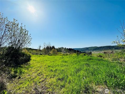 295 Degoede Drive Mossyrock WA 98564