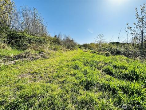 295 Degoede Drive Mossyrock WA 98564
