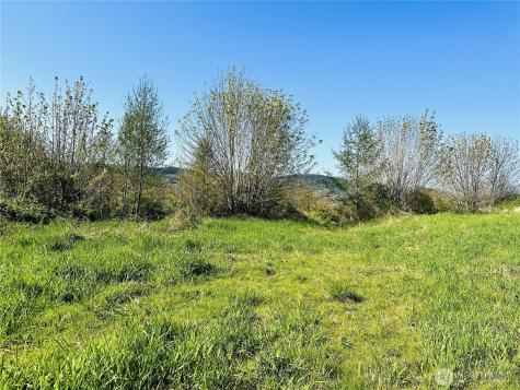 295 Degoede Drive Mossyrock WA 98564
