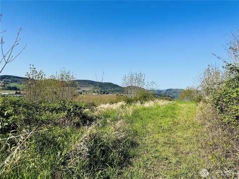 295 Degoede Drive Mossyrock WA 98564