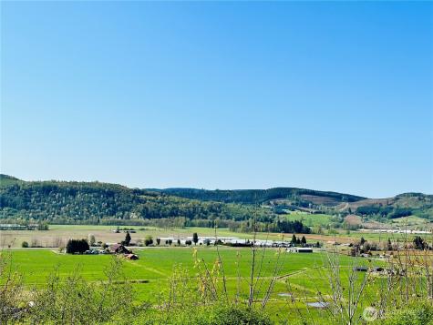 295 Degoede Drive Mossyrock WA 98564