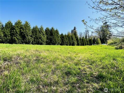 295 Degoede Drive Mossyrock WA 98564