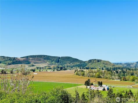 295 Degoede Drive Mossyrock WA 98564