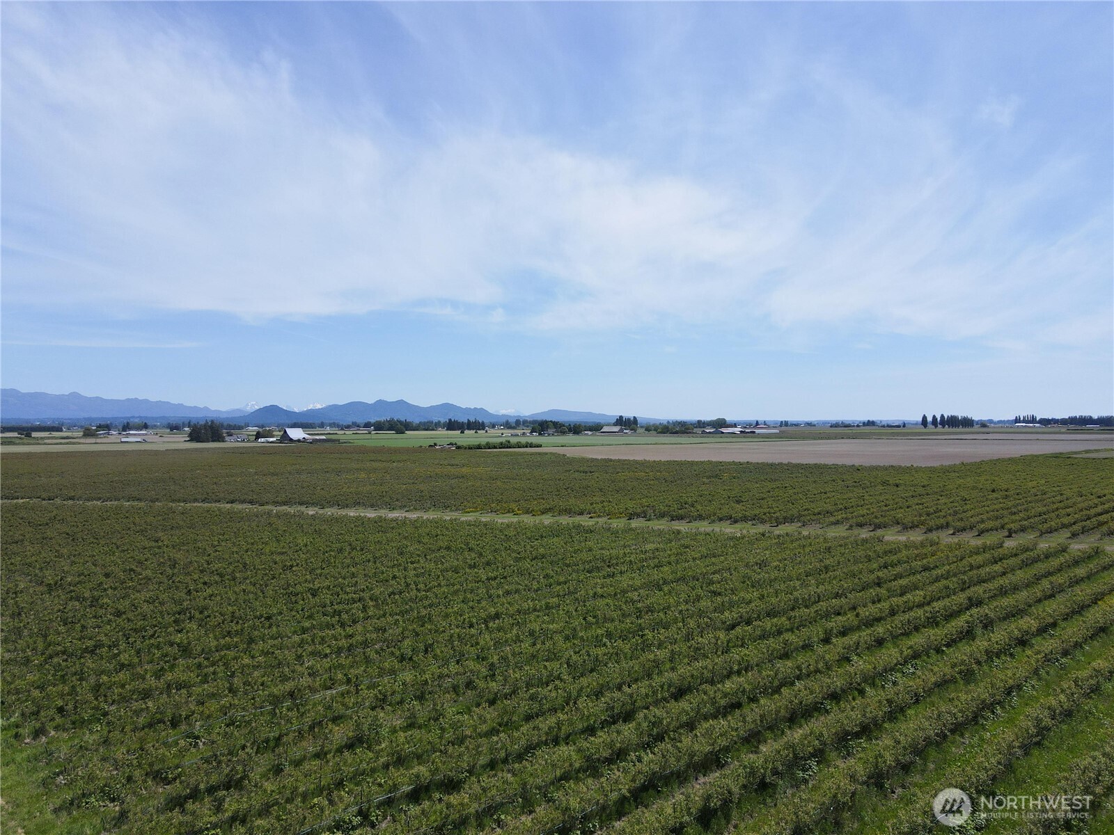 0 Young Road Mount Vernon WA 98273
