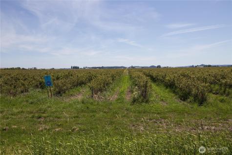 0 Young Road Mount Vernon WA 98273