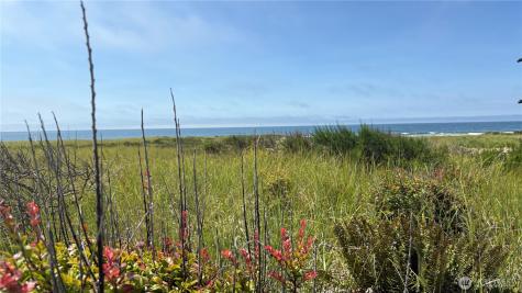 615 Dune Crest Loop Westport WA 98595
