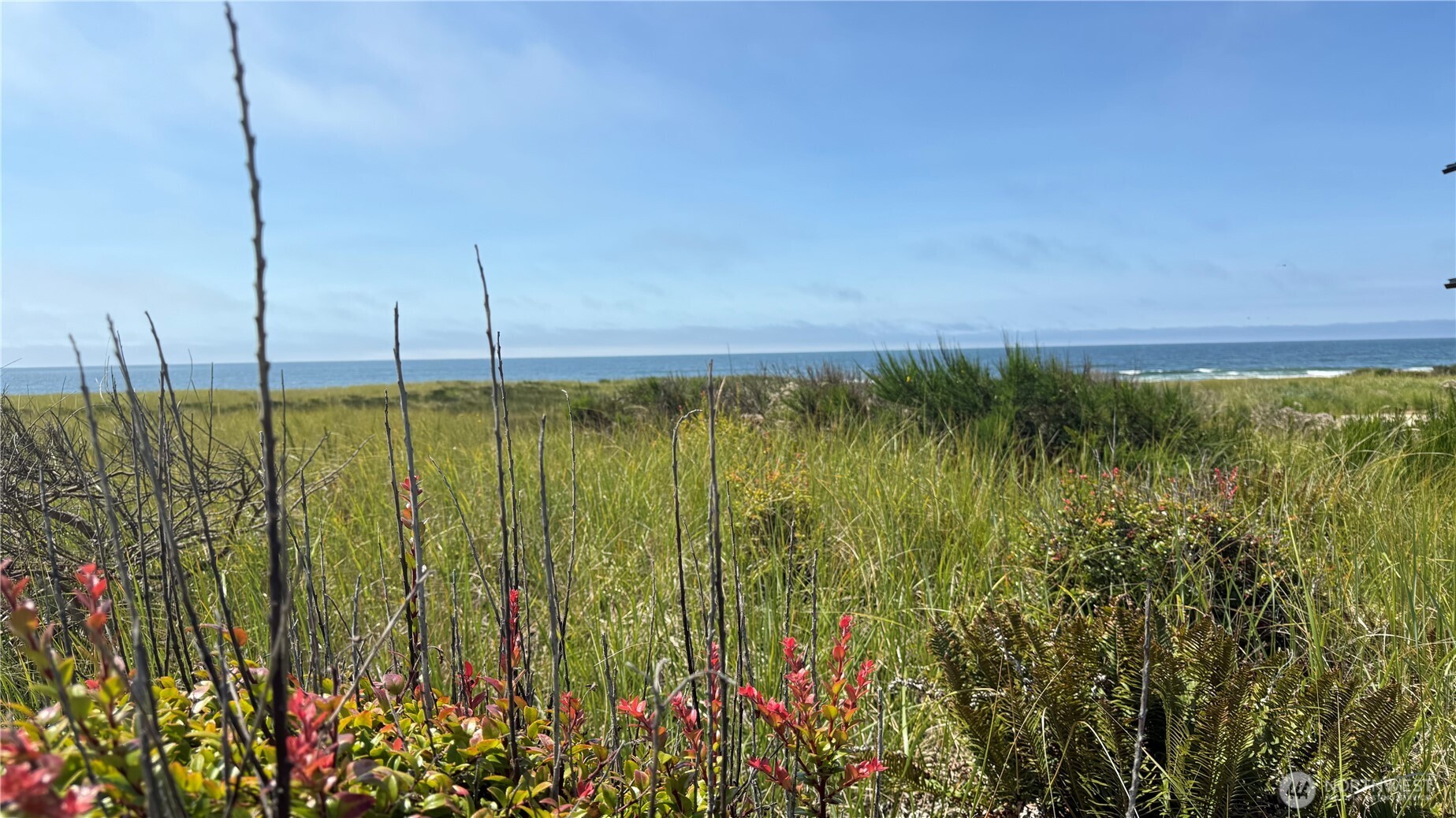 615 Dune Crest Loop Westport WA 98595