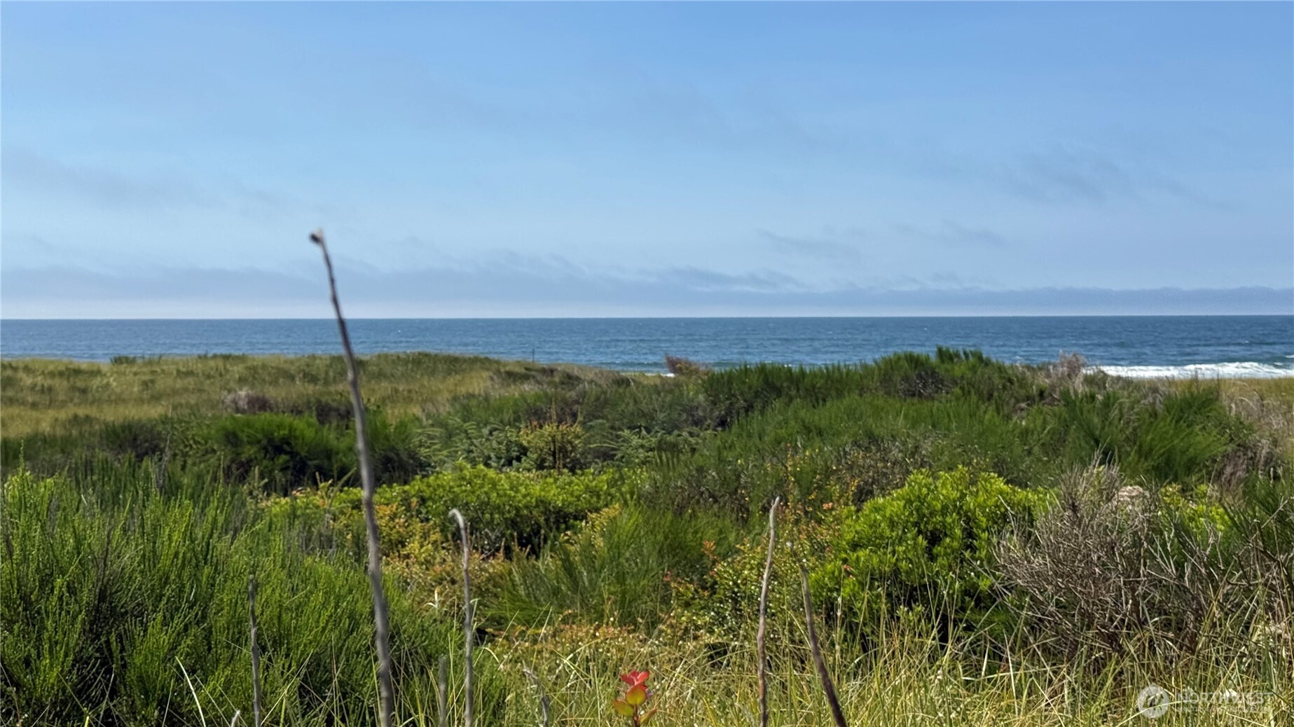 615 Dune Crest Loop Westport WA 98595
