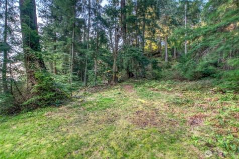 0 Georgia Strait Lane Orcas Island WA 98279