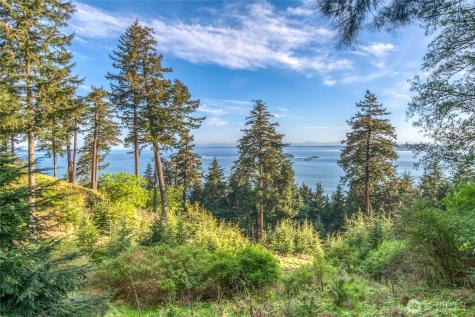 0 Georgia Strait Lane Orcas Island WA 98279
