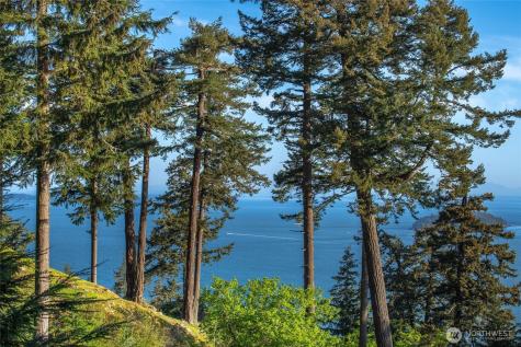 0 Georgia Strait Lane Orcas Island WA 98279