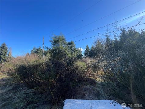 0 222nd Street E Graham WA 98338