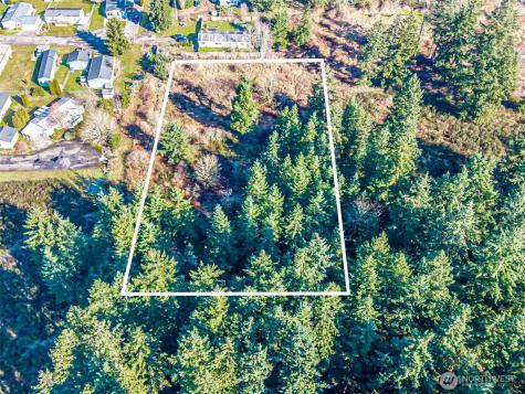 0 222nd Street E Graham WA 98338