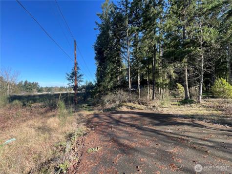 0 222nd Street E Graham WA 98338