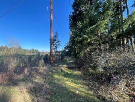 0 222nd Street E Graham WA 98338