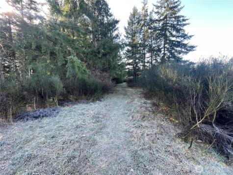 0 222nd Street E Graham WA 98338