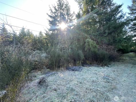 0 222nd Street E Graham WA 98338