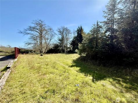 126 Olympic View Avenue NE Ocean Shores WA 98569