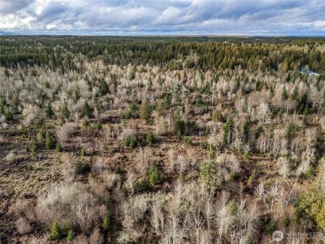 15301 Mcintosh Valley Lane SE Yelm WA 98597