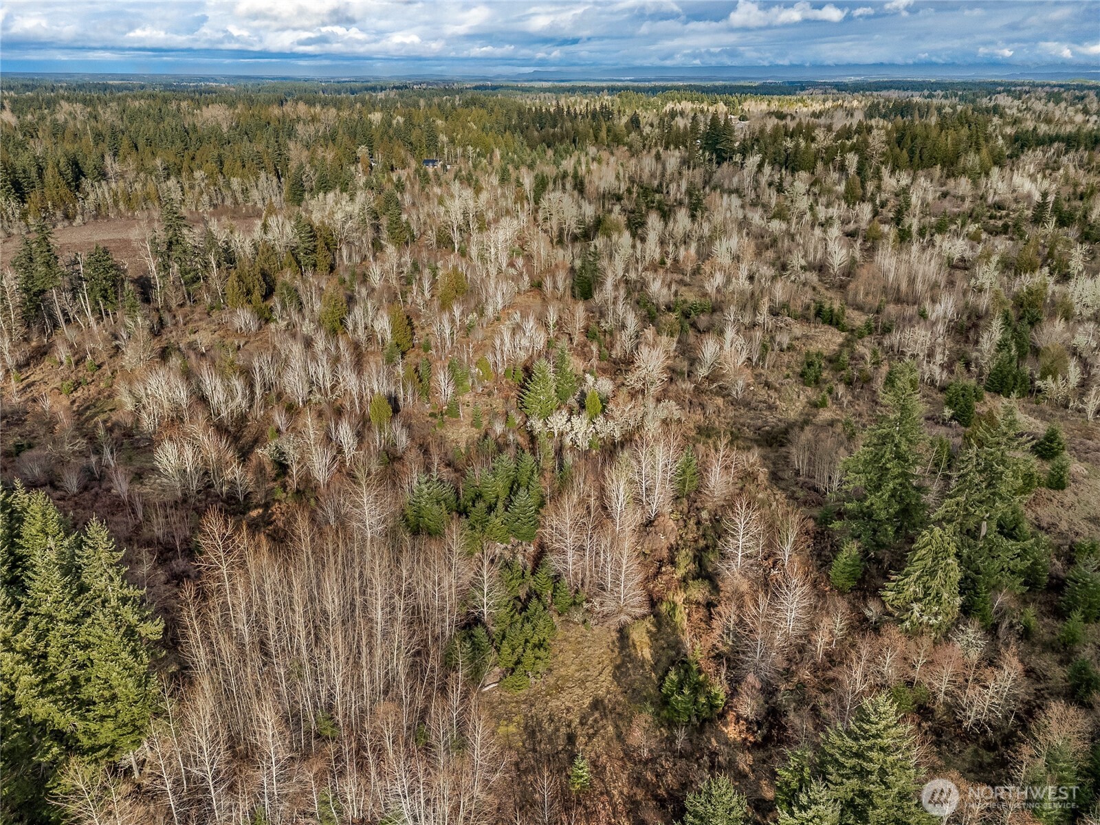 15301 Mcintosh Valley Lane SE Yelm WA 98597