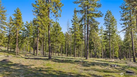 0 Flying M Cle Elum WA 98922