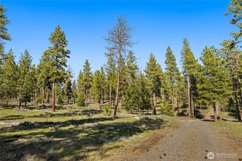 0 Flying M Cle Elum WA 98922