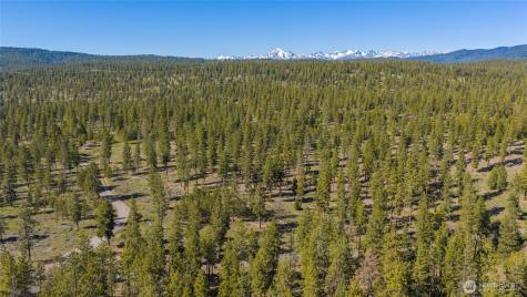 0 Flying M Cle Elum WA 98922