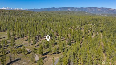 0 Flying M Cle Elum WA 98922