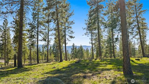 0 Flying M Cle Elum WA 98922
