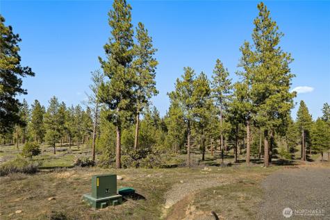 0 Flying M Cle Elum WA 98922