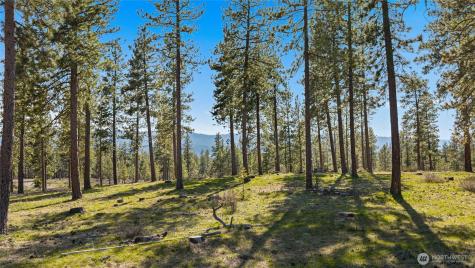 0 Flying M Cle Elum WA 98922