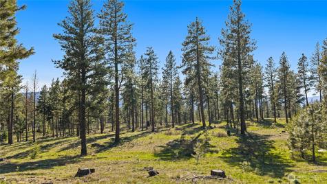 0 Flying M Cle Elum WA 98922