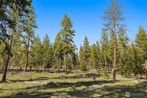 0 Flying M Cle Elum WA 98922