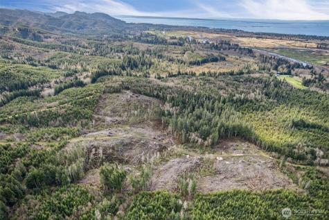 0 Chinook Valley Road Chinook WA 98614