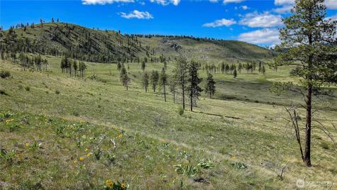 1 Washington Creek Road Chelan WA 98816