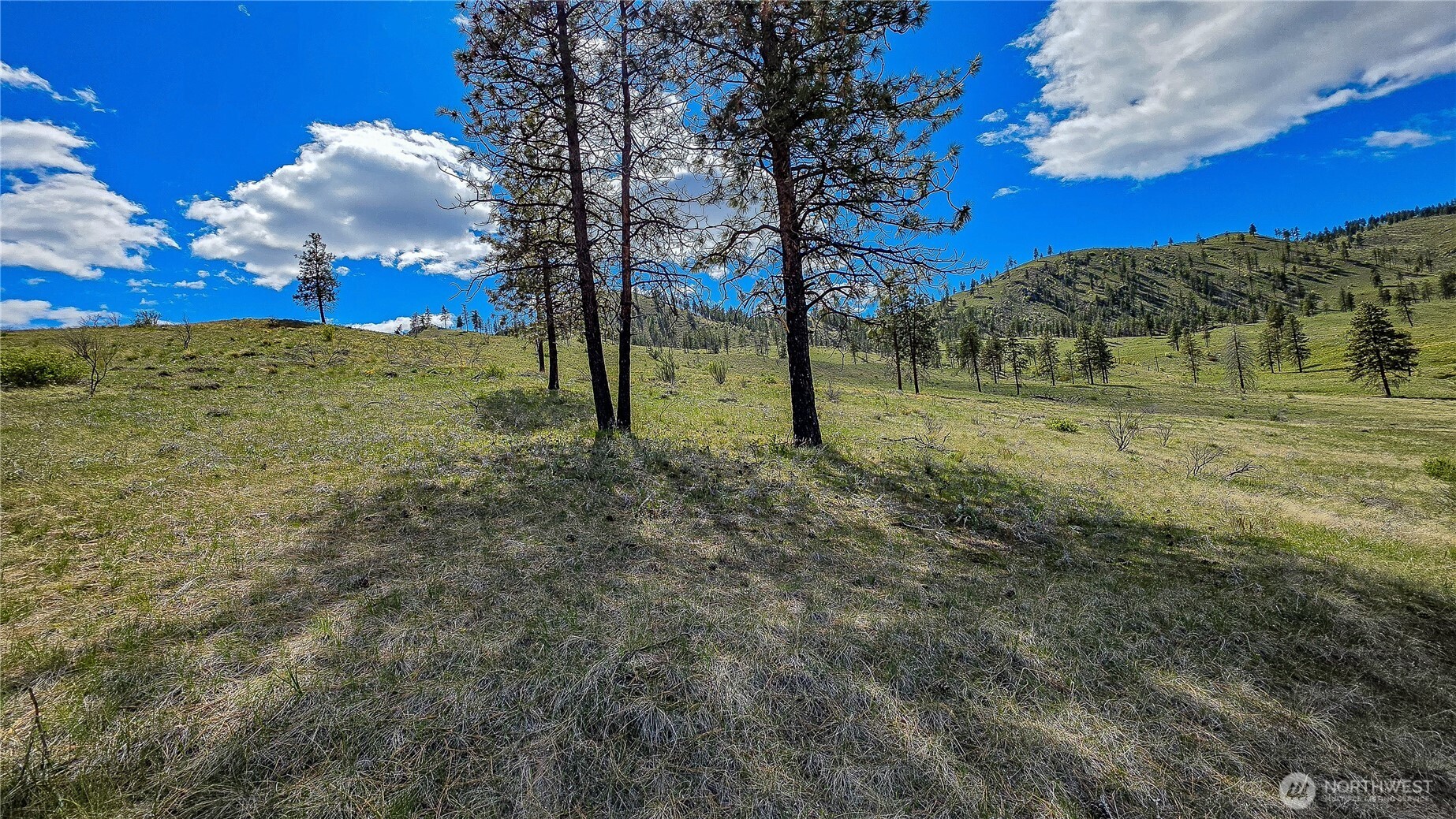 1 Washington Creek Road Chelan WA 98816