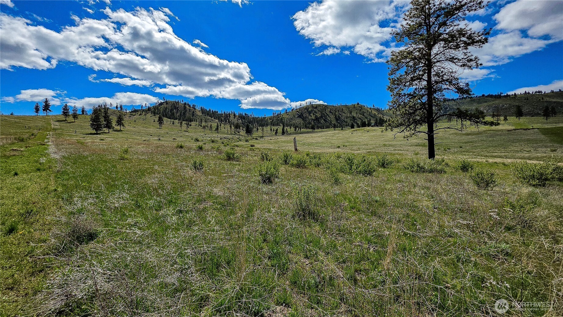 1 Washington Creek Road Chelan WA 98816