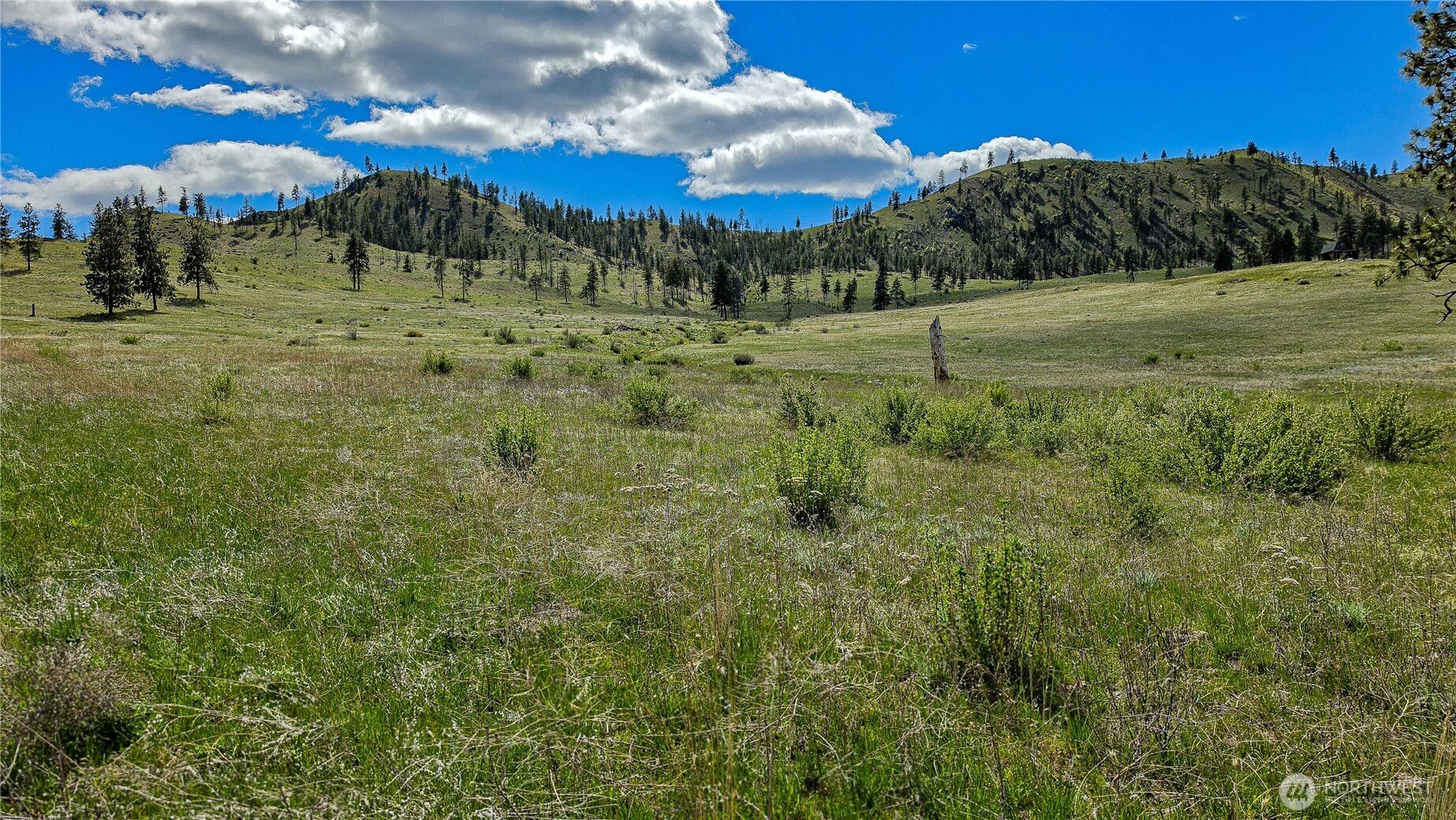 1 Washington Creek Road Chelan WA 98816