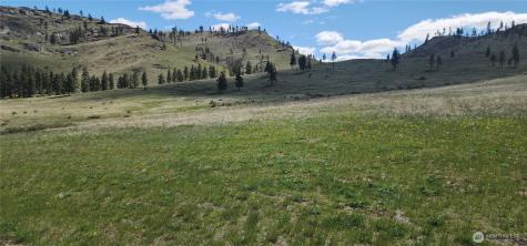 1 Washington Creek Road Chelan WA 98816