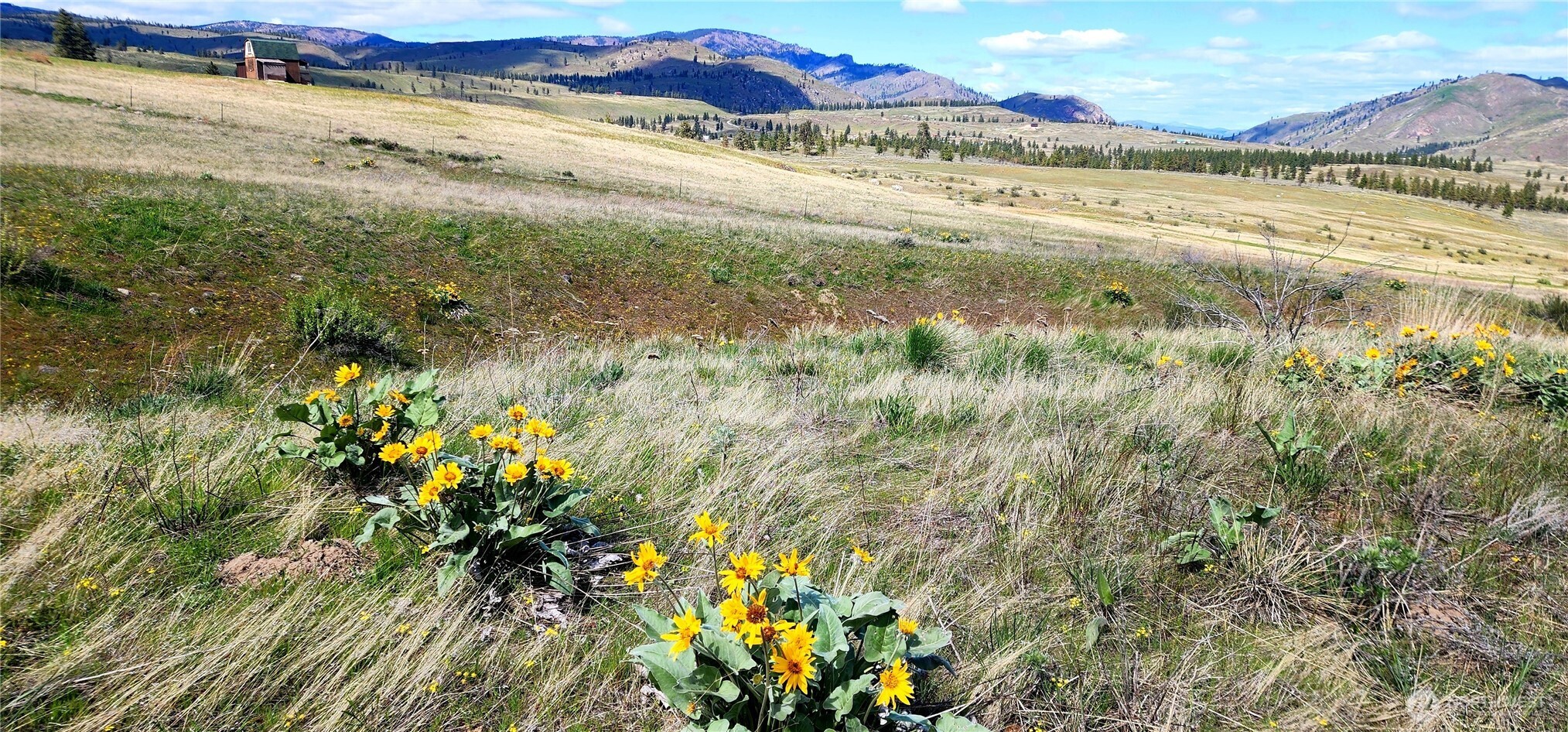 1 Washington Creek Road Chelan WA 98816