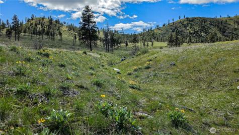 1 Washington Creek Road Chelan WA 98816