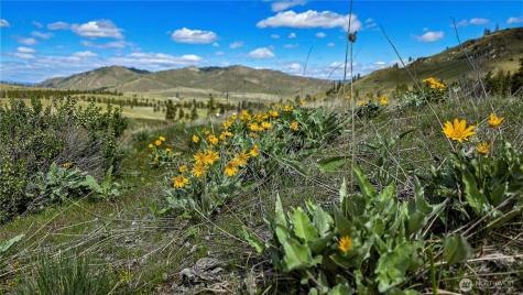 1 Washington Creek Road Chelan WA 98816