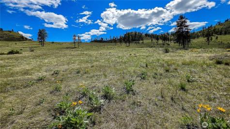 1 Washington Creek Road Chelan WA 98816
